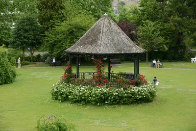 DSC_2536 (Large).JPG